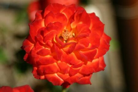 Doing a Little Something for Ourselves Image